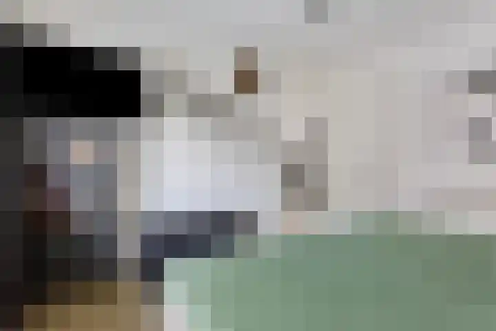 Pykeswegje 86 Goes thumbnail 17