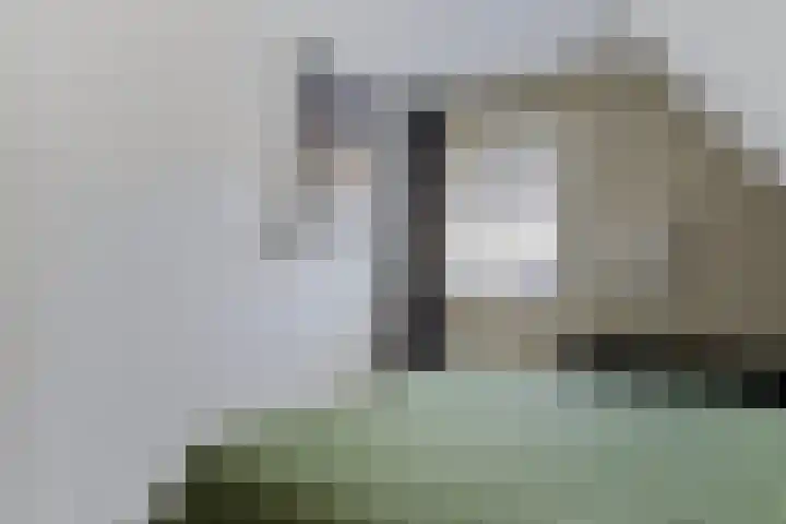 Pykeswegje 86 Goes thumbnail 18