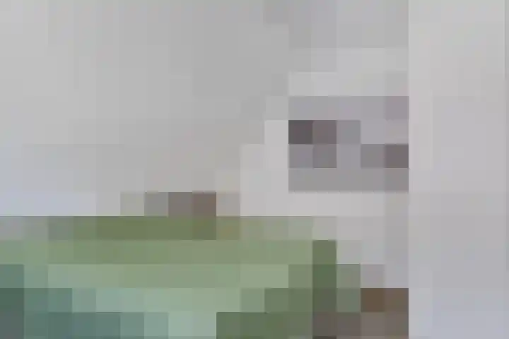 Pykeswegje 86 Goes thumbnail 19