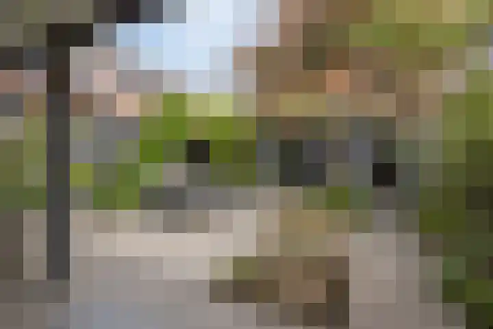 Pykeswegje 86 Goes thumbnail 28