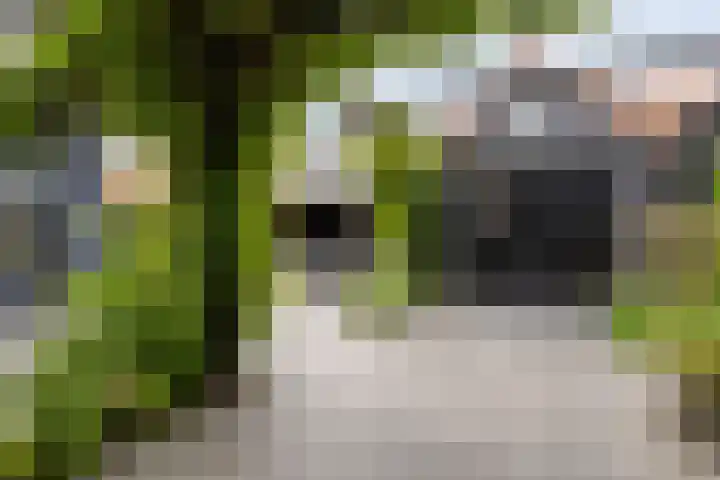 Pykeswegje 86 Goes thumbnail 29