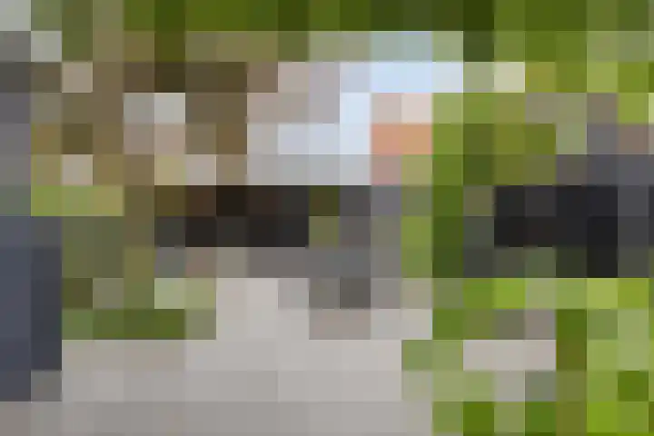 Pykeswegje 86 Goes thumbnail 32