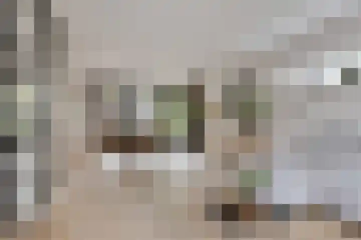 Pykeswegje 86 Goes thumbnail 7