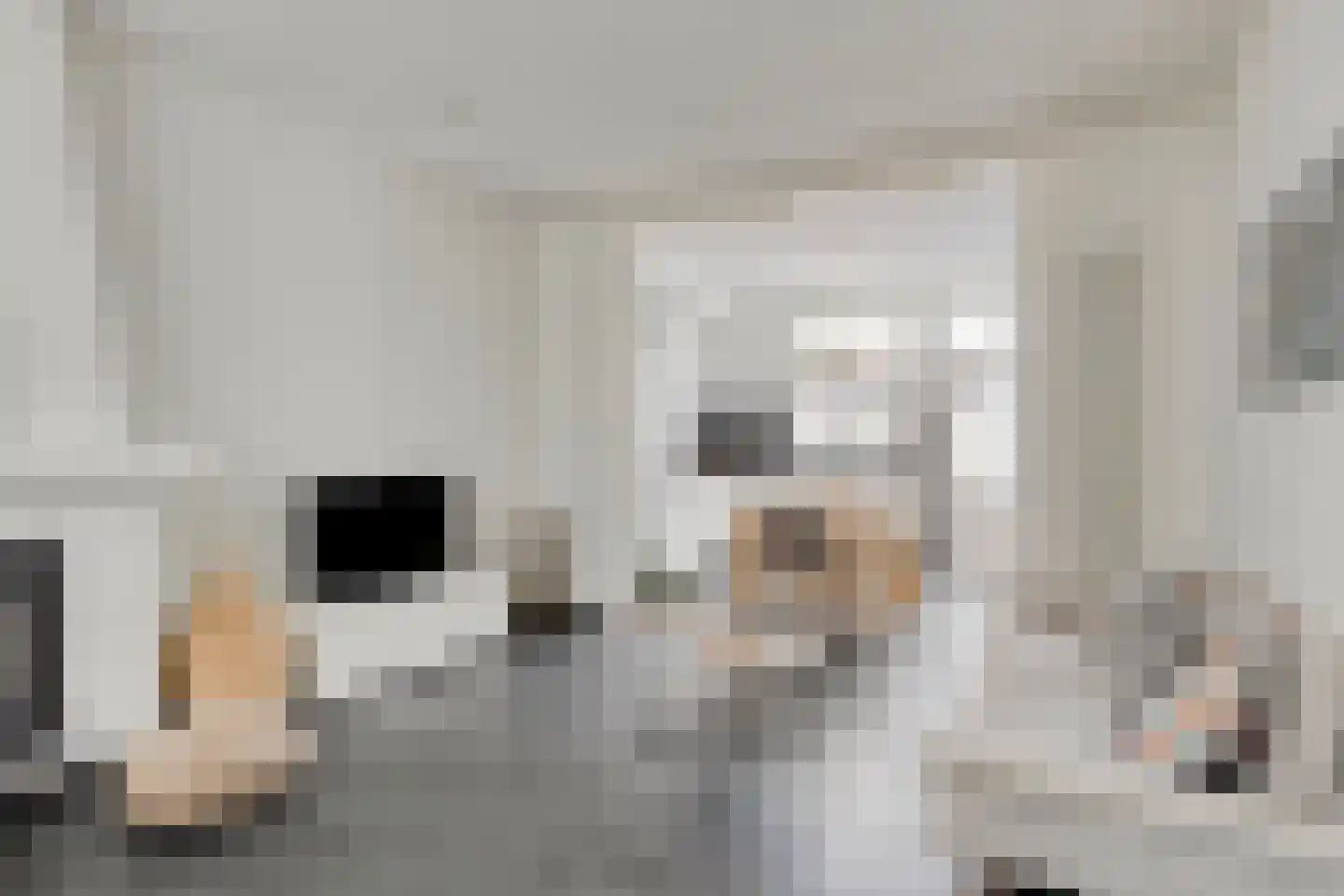 Pyntorenstraat 13 Goes thumbnail 11