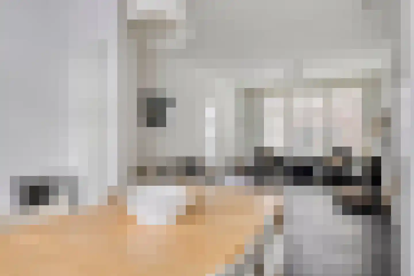 Pyntorenstraat 13 Goes thumbnail 15