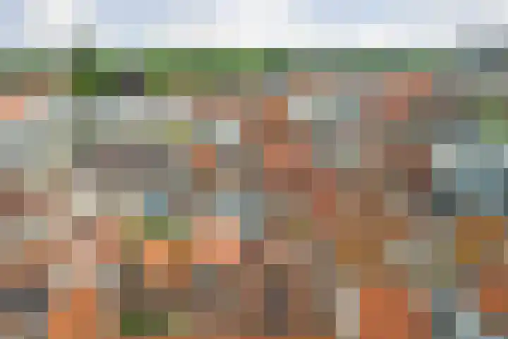 Pyntorenstraat 3 Goes thumbnail 23