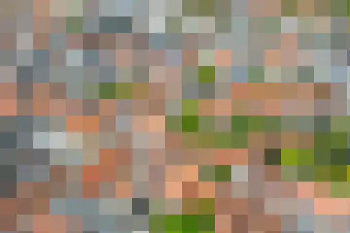 Pyntorenstraat 3 Goes thumbnail 28