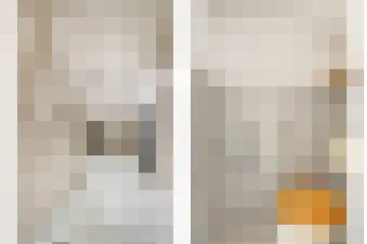 Pyntorenstraat 3 Goes thumbnail 30