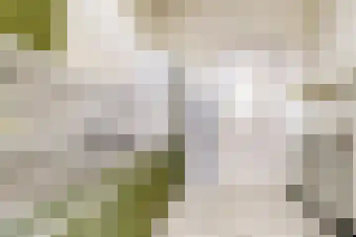 Pyntorenstraat 3 Goes thumbnail 9