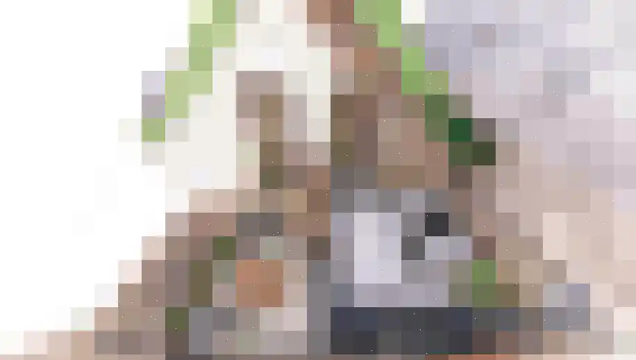 Pyntorenstraat 5 Goes thumbnail 14