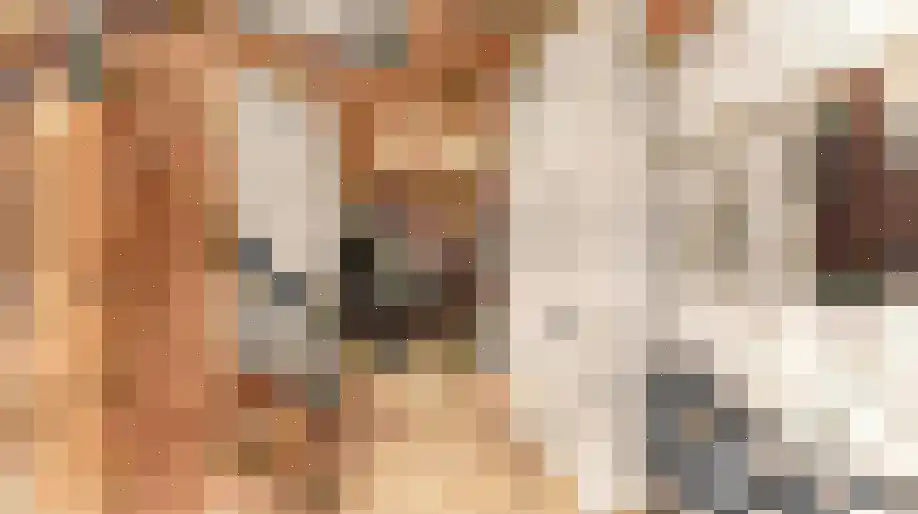 Pyntorenstraat 5 Goes thumbnail 6