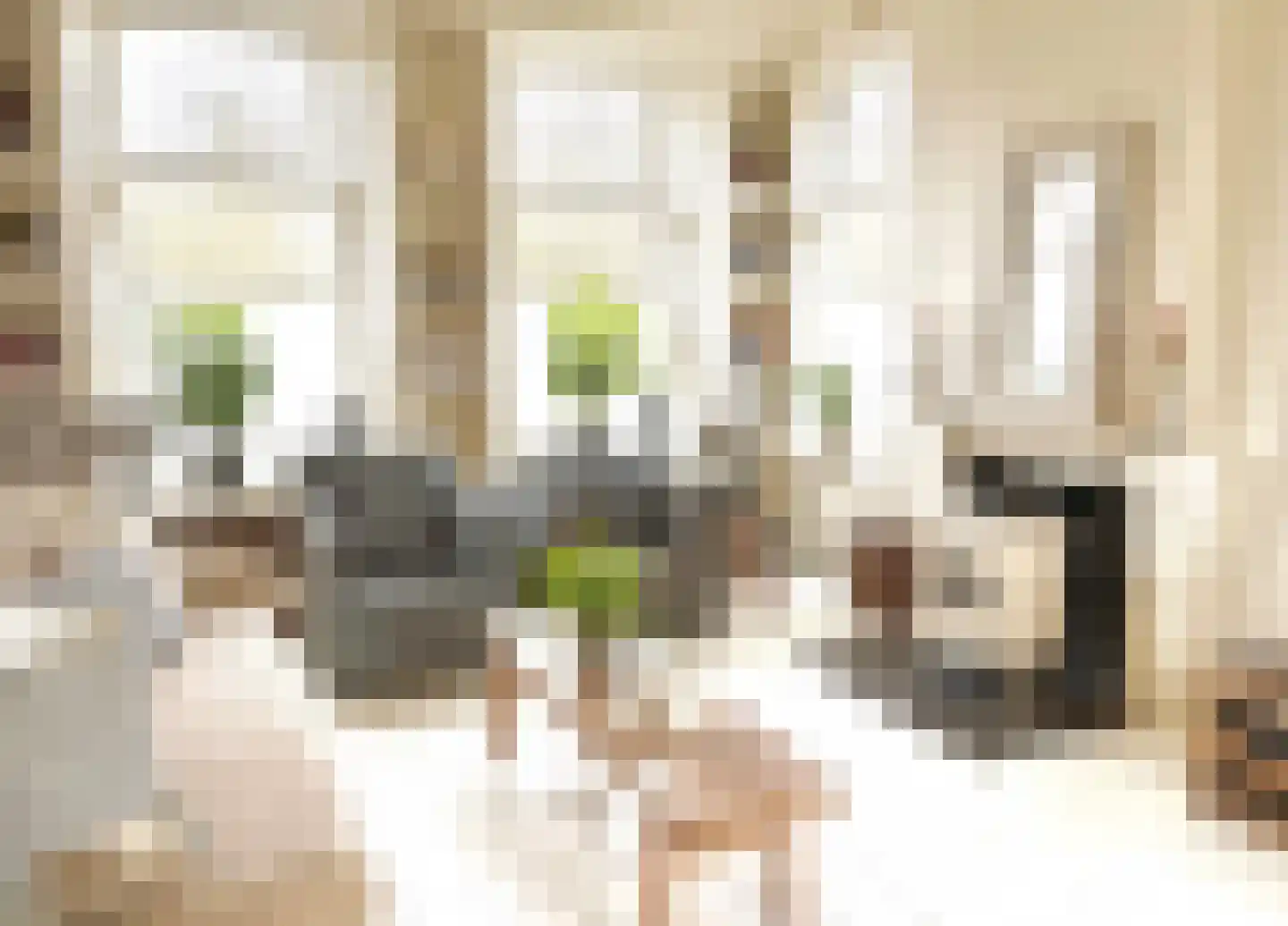 Pypsterstikke 5 Balk thumbnail 12
