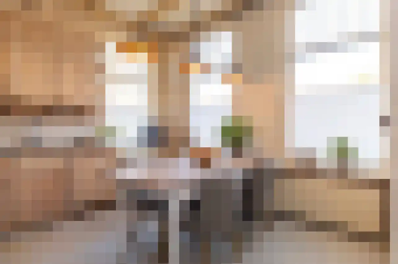 Pypsterstikke 5 Balk thumbnail 18