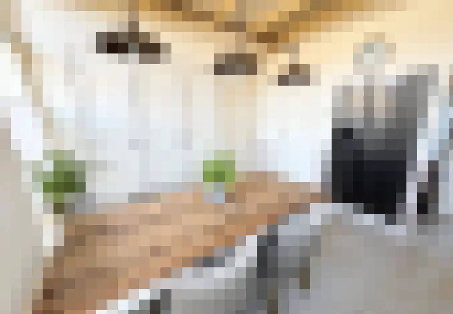 Pypsterstikke 5 Balk thumbnail 19