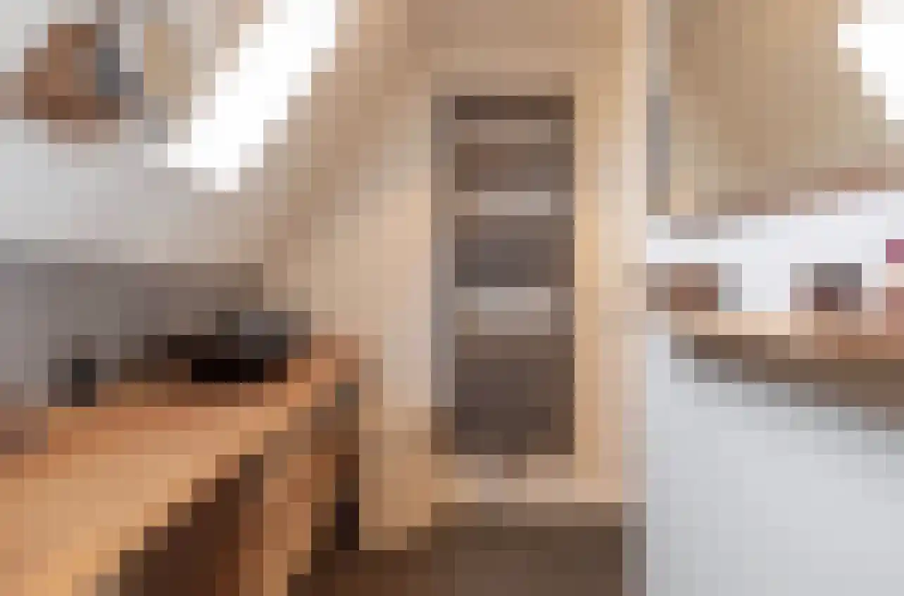 Pypsterstikke 5 Balk thumbnail 25