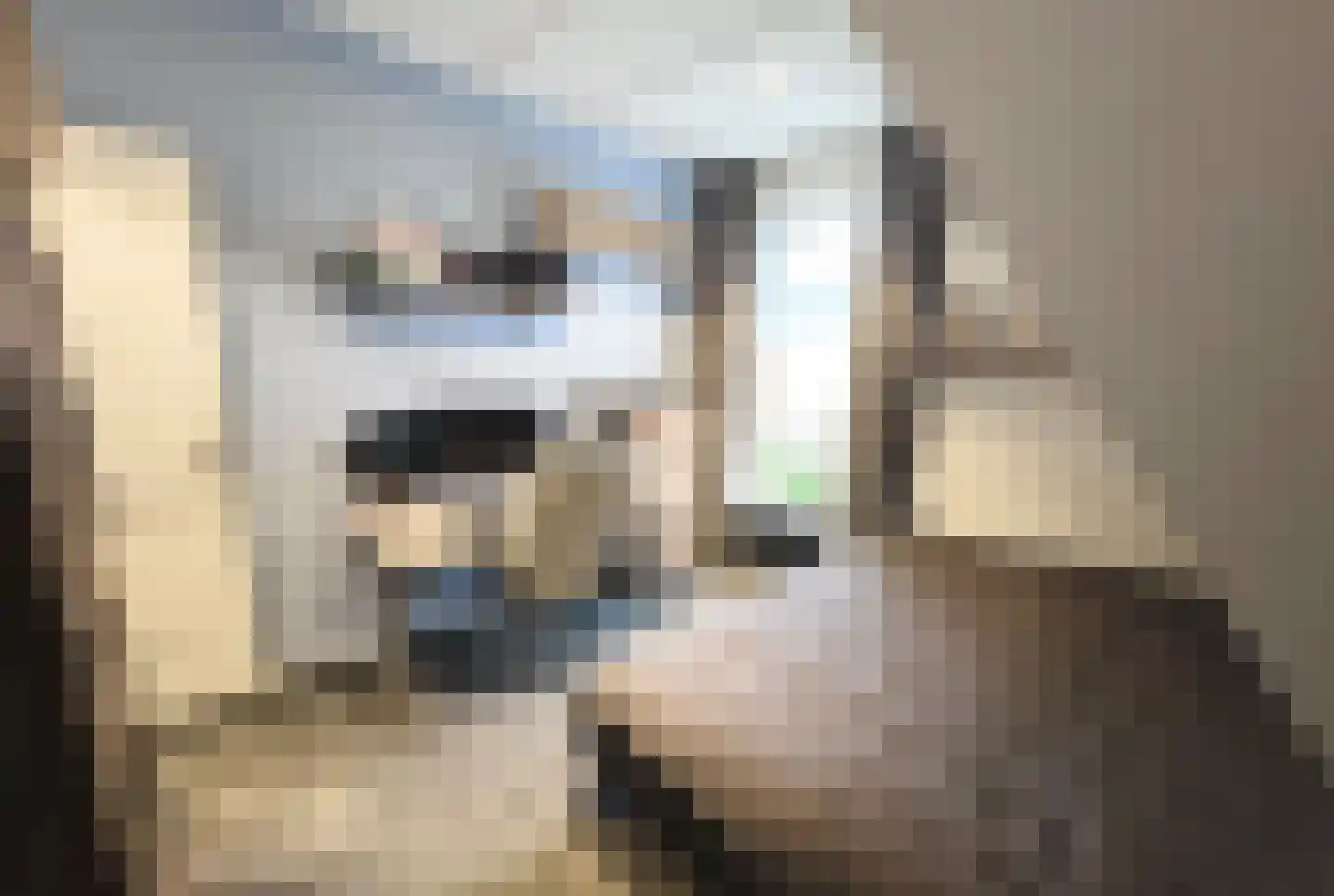 Pypsterstikke 5 Balk thumbnail 28