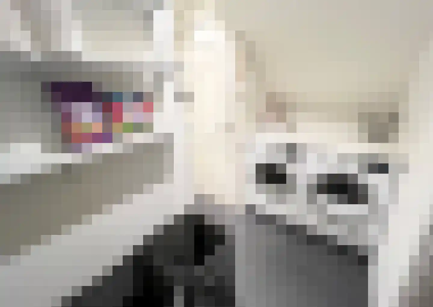 Pypsterstikke 5 Balk thumbnail 31