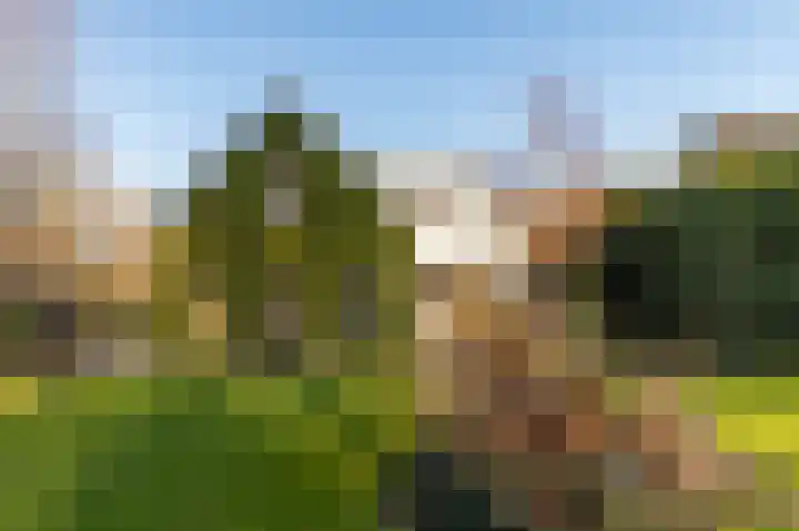 Pypsterstikke 5 Balk thumbnail 41