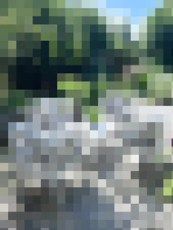 Pypsterstikke 5 Balk thumbnail 45