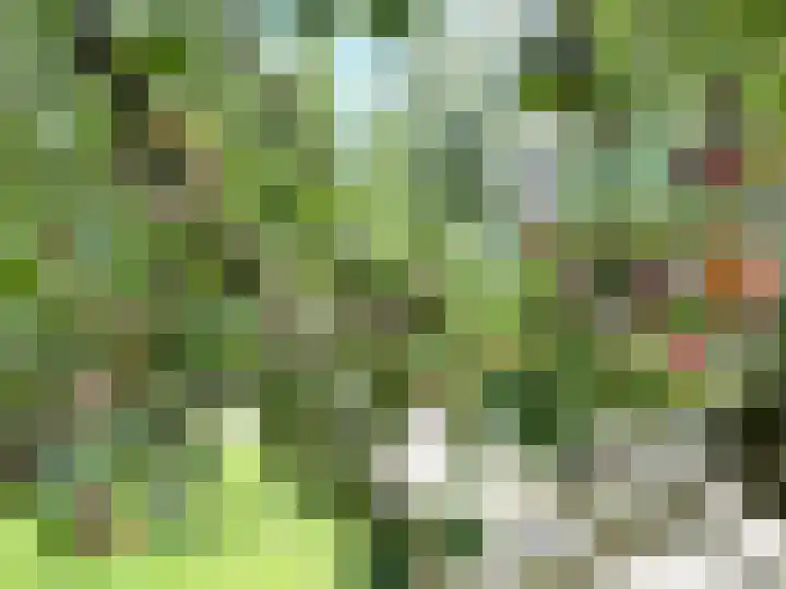 Pypsterstikke 5 Balk thumbnail 48