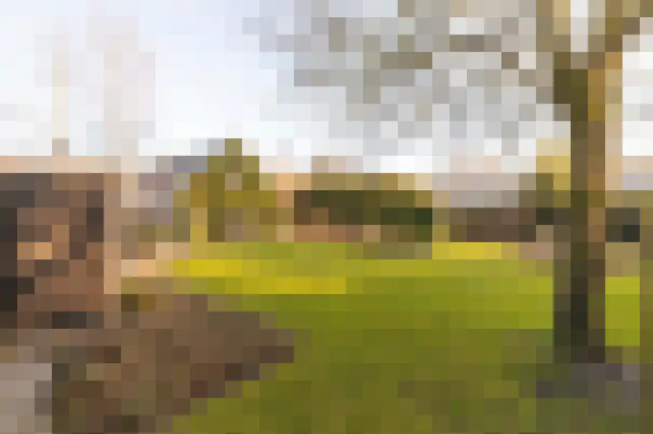 Pypsterstikke 5 Balk thumbnail 53