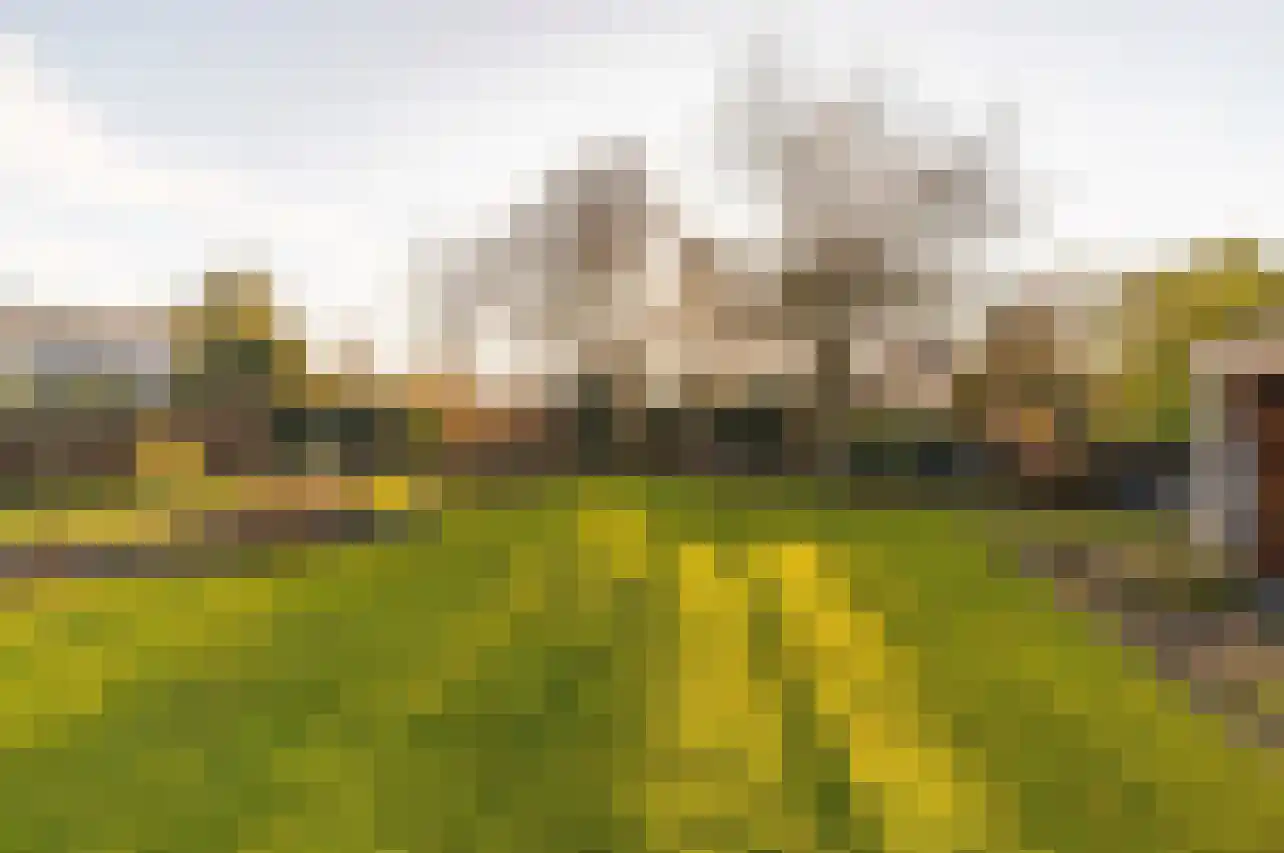 Pypsterstikke 5 Balk thumbnail 54