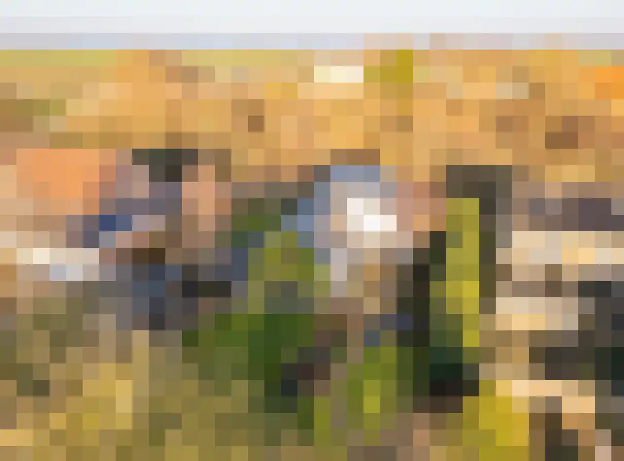 Pypsterstikke 5 Balk thumbnail 55
