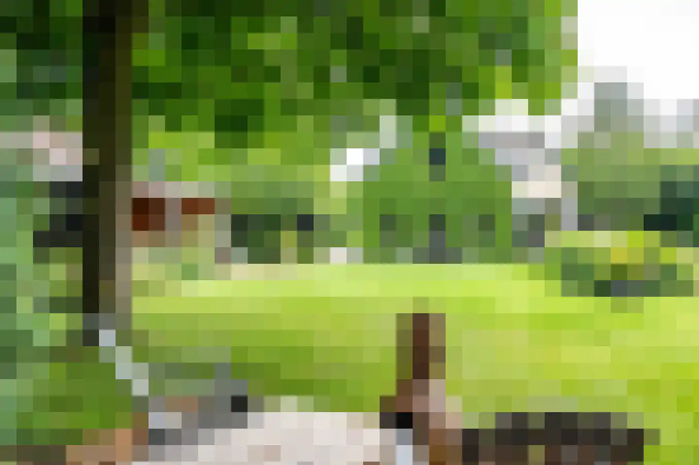 Pypsterstikke 5 Balk thumbnail 7