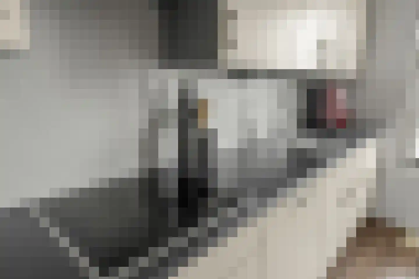 Pyramideboomgaard 408 Vleuten thumbnail 11