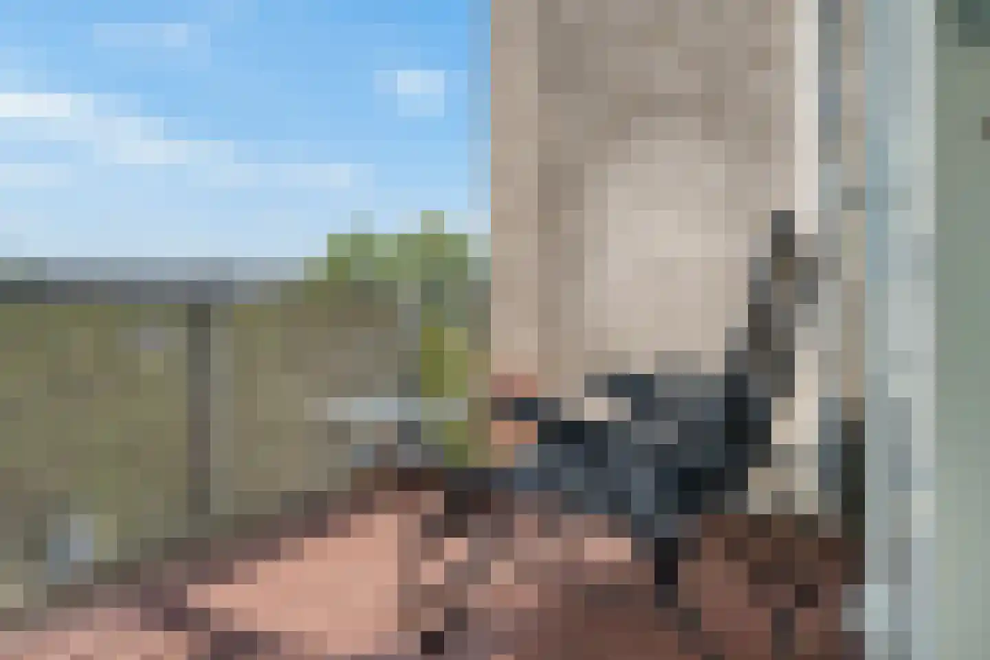 Pyramideboomgaard 408 Vleuten thumbnail 12