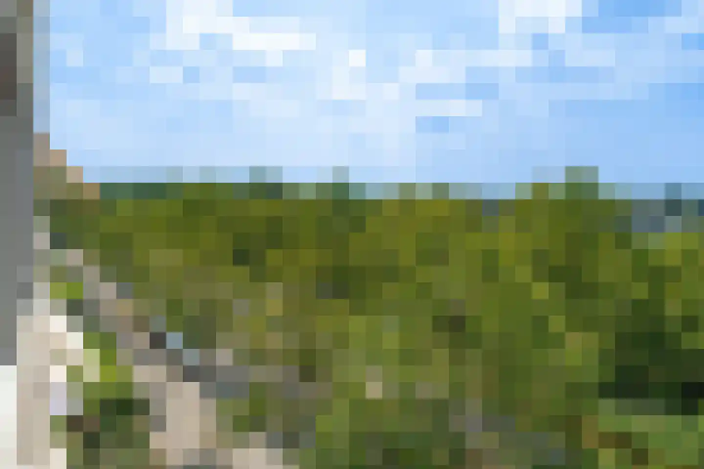Pyramideboomgaard 408 Vleuten thumbnail 13