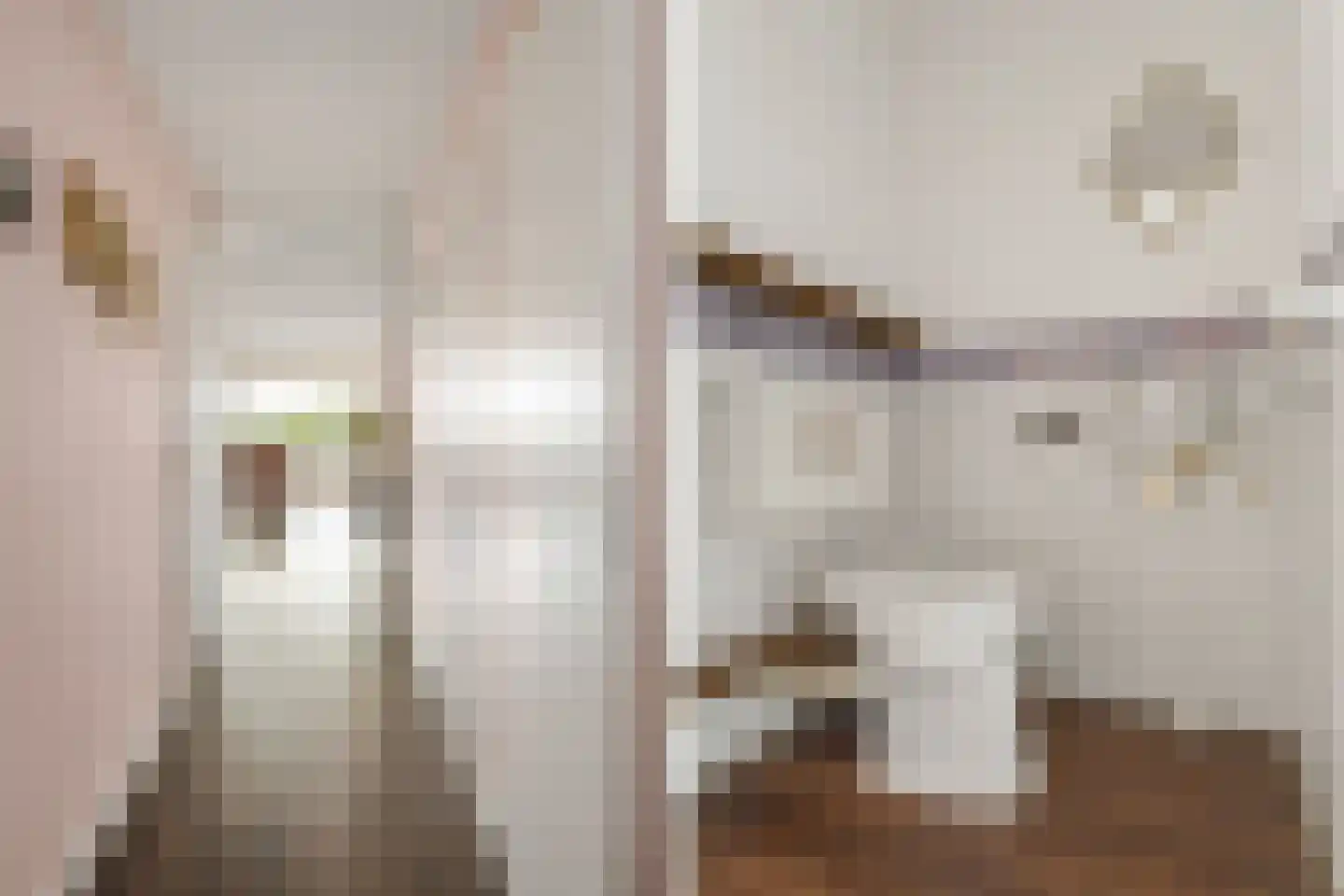 Pyramideboomgaard 408 Vleuten thumbnail 14