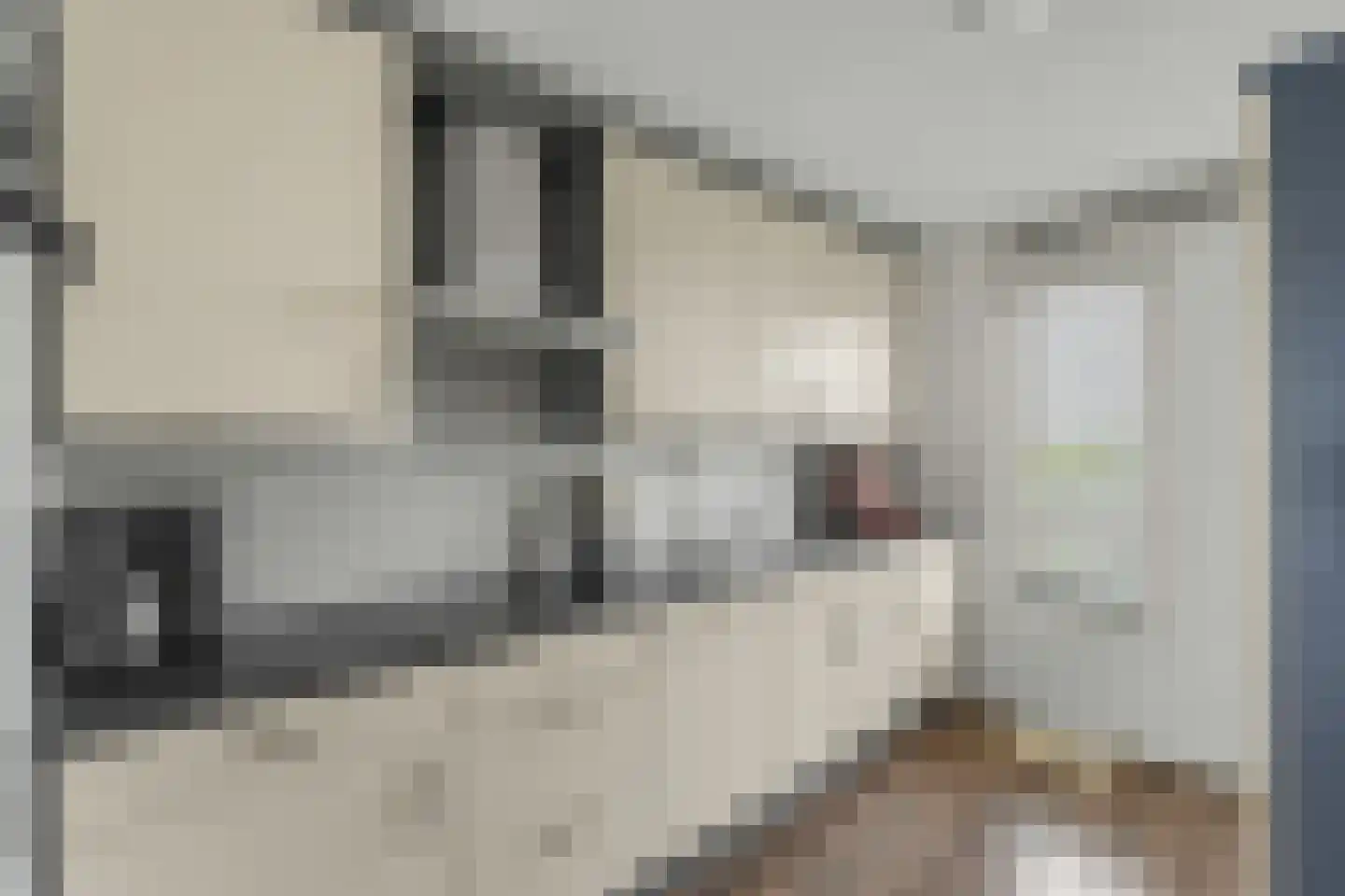 Pyramideboomgaard 408 Vleuten thumbnail 9