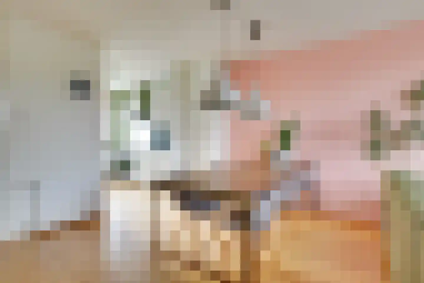 Pyreneeën 12 Utrecht thumbnail 13