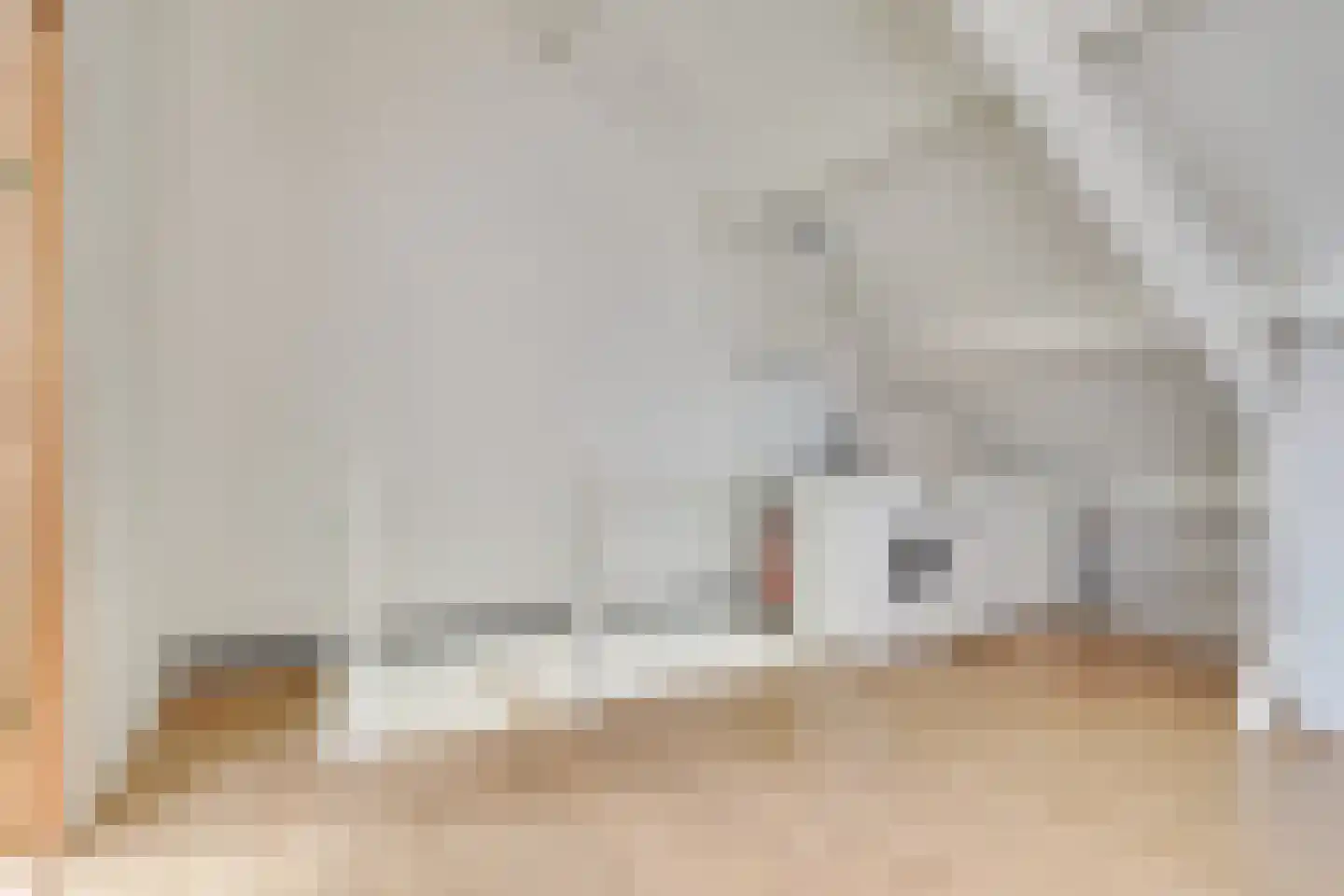 Pyreneeën 12 Utrecht thumbnail 41