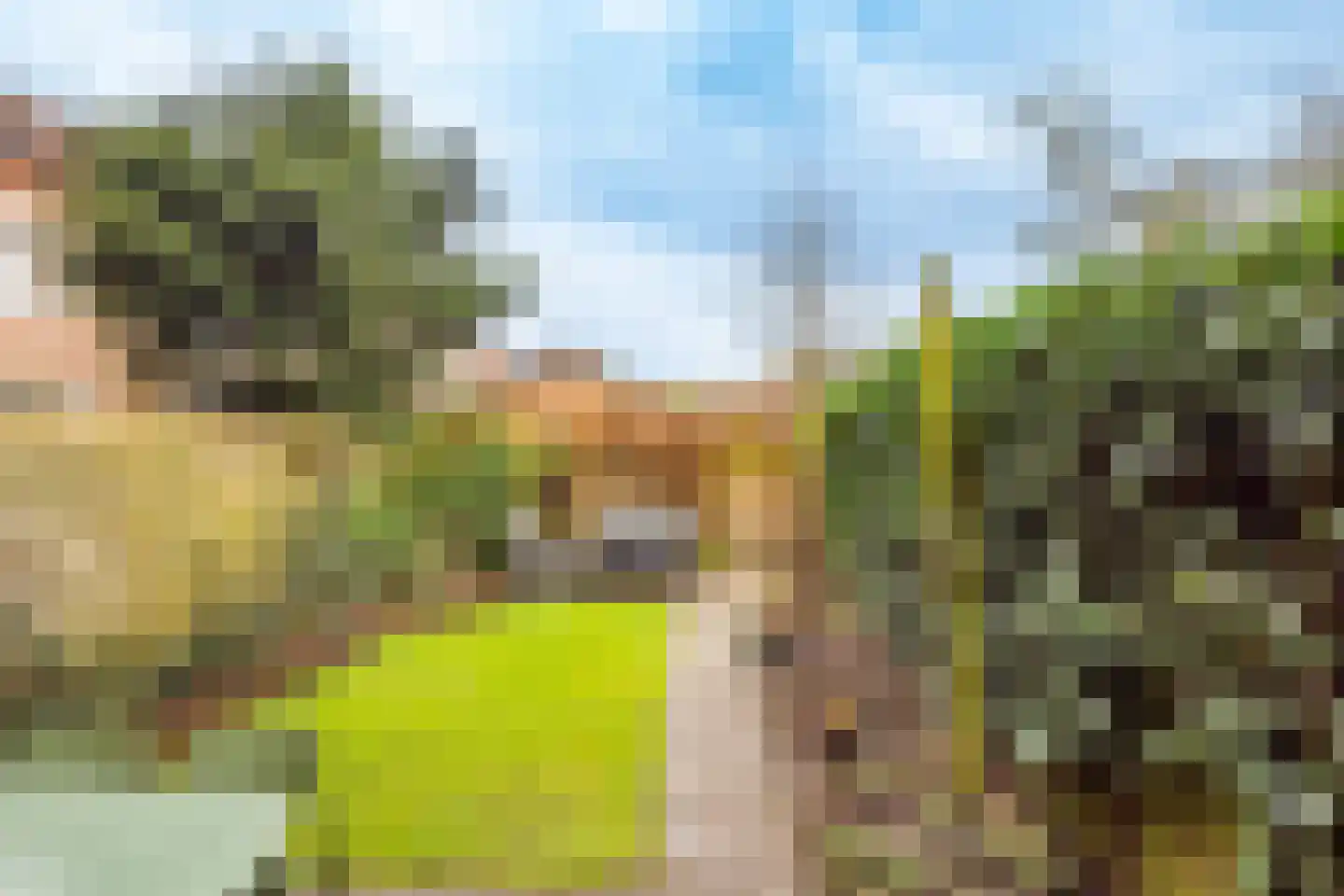 Pyreneeën 12 Utrecht thumbnail 42