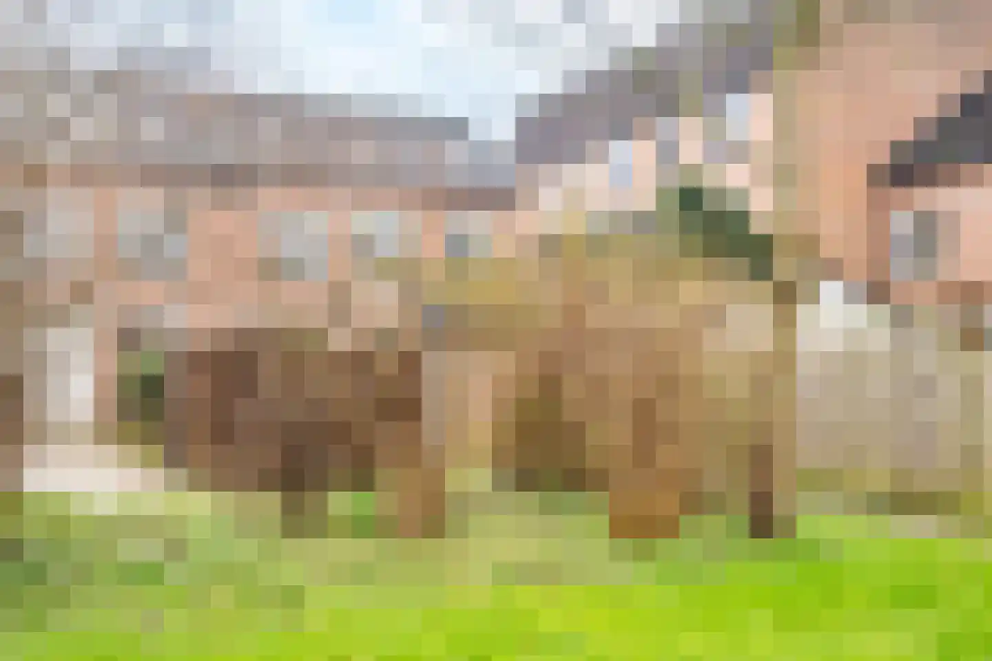 Pyreneeën 12 Utrecht thumbnail 47
