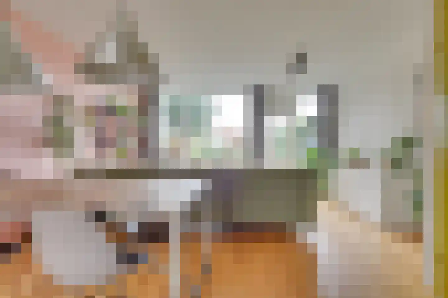 Pyreneeën 12 Utrecht thumbnail 5