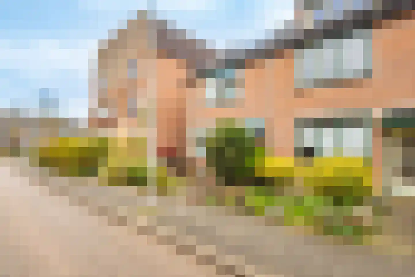 Pyreneeën 12 Utrecht thumbnail 51