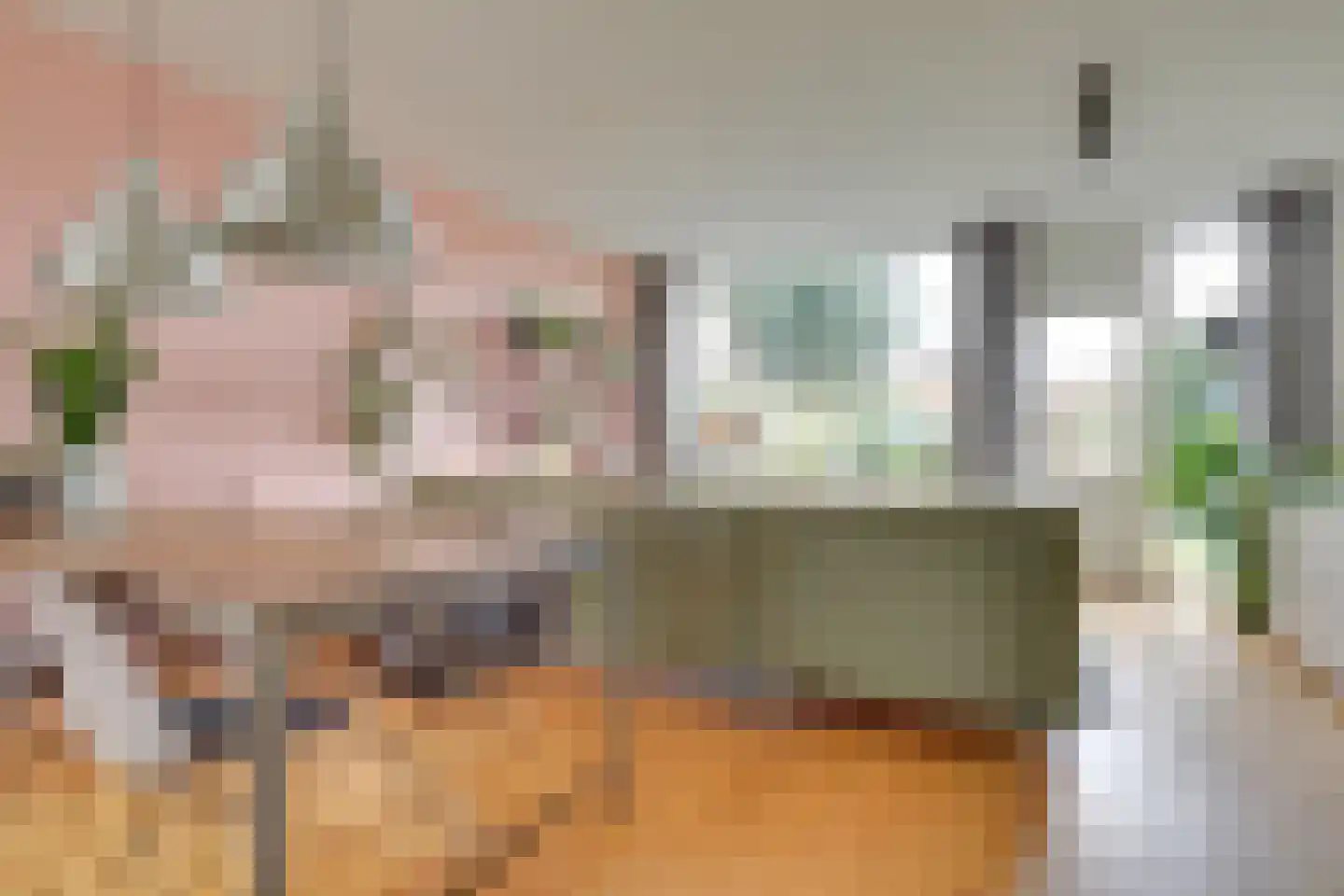 Pyreneeën 12 Utrecht thumbnail 6
