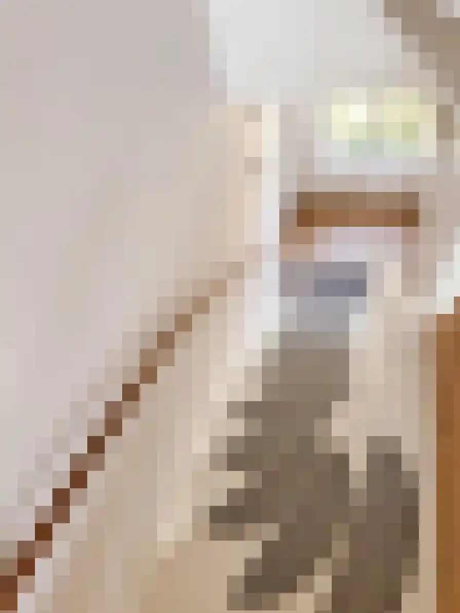 Pyreneeën 13 Amsterdam thumbnail 17