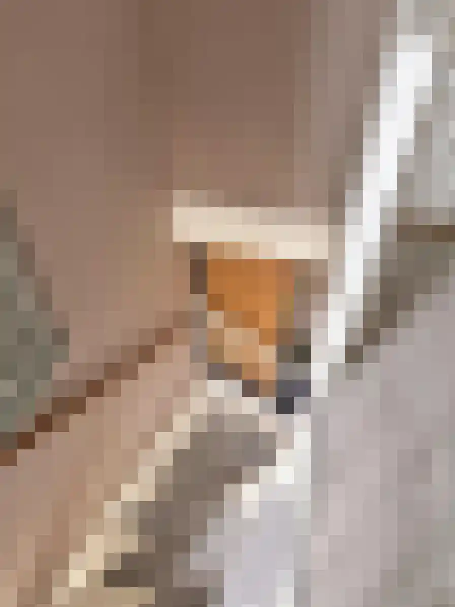 Pyreneeën 13 Amsterdam thumbnail 18