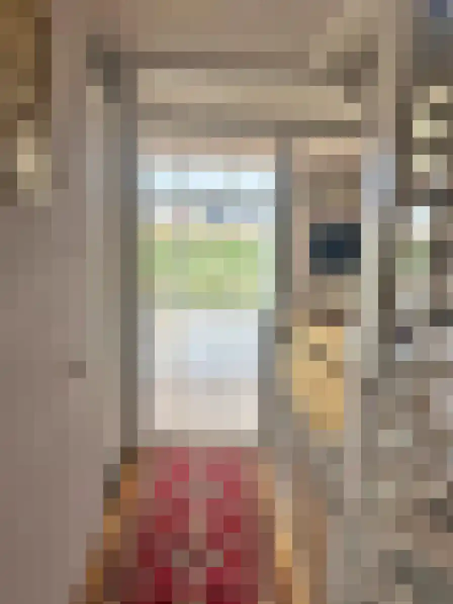 Pyreneeën 13 Amsterdam thumbnail 5
