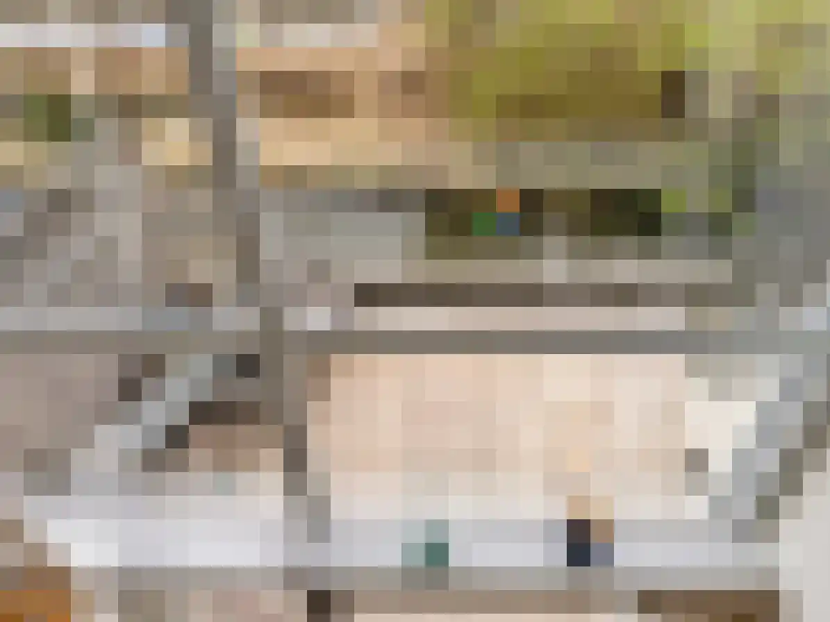 Pyreneeën 13 Amsterdam thumbnail 8