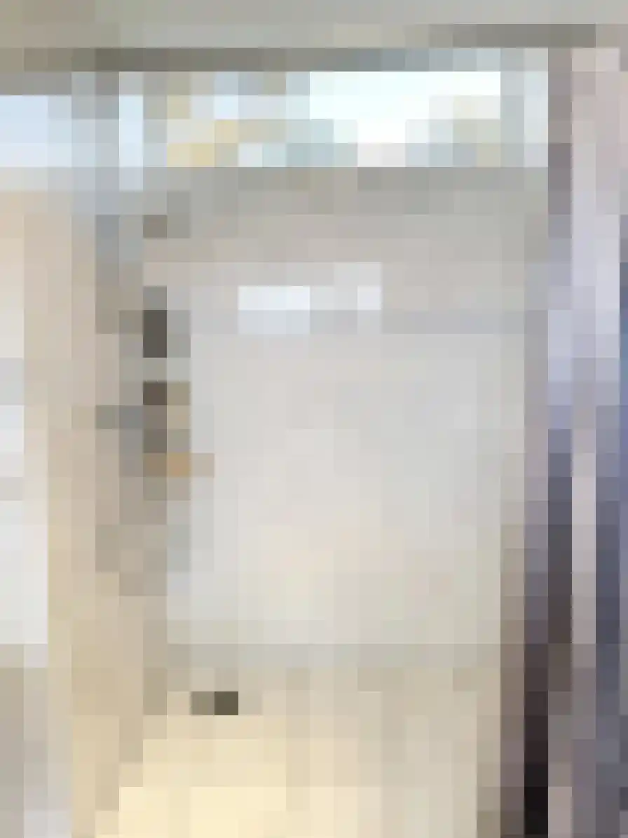 Pyreneeën 13 Amsterdam thumbnail 9