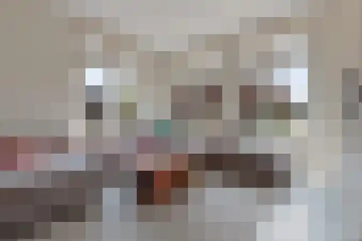 Pyreneeën 25 Amersfoort thumbnail 11