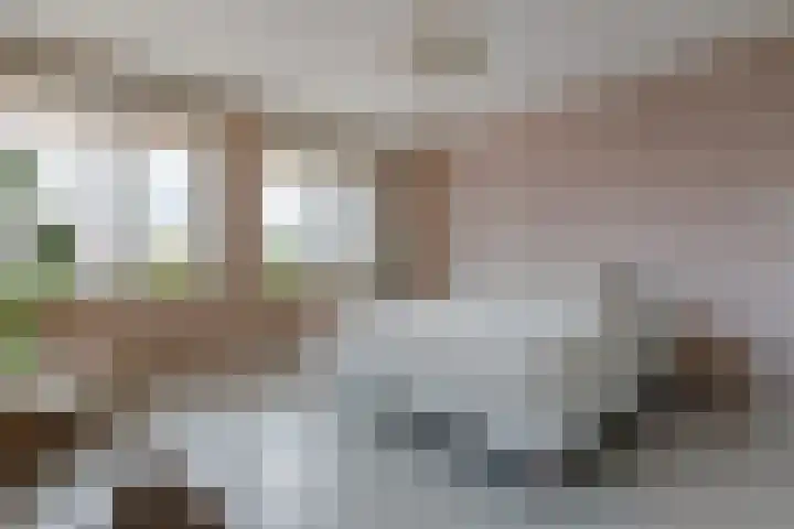 Pyreneeën 25 Amersfoort thumbnail 23
