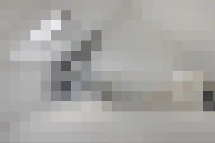 Pyreneeën 25 Amersfoort thumbnail 32