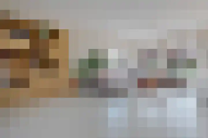 Pyreneeën 25 Amersfoort thumbnail 4
