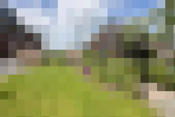 Pyreneeën 25 Amersfoort thumbnail 40